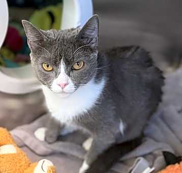 Photo of LUNA