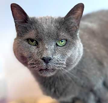 Photo of Abbie