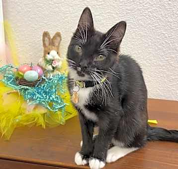Photo of Thumbelina