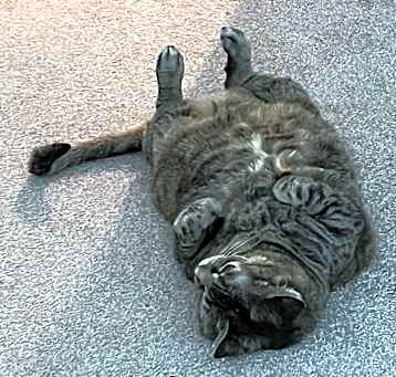 Photo of Gabby