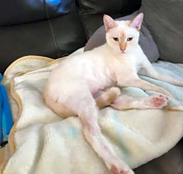 Photo of Yuki