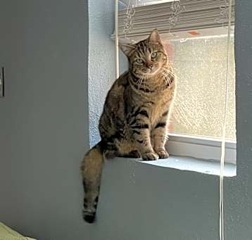 Photo of Luna