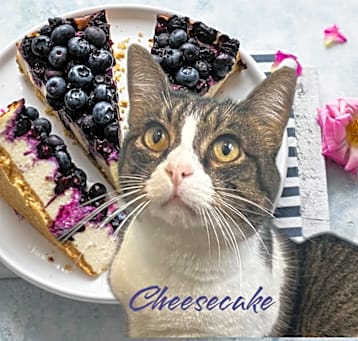 Photo of Cheesecake