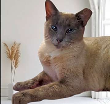 Photo of Marlo 4832