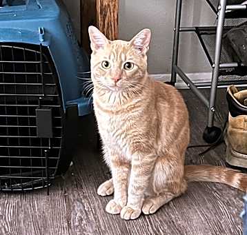 Photo of Jackson