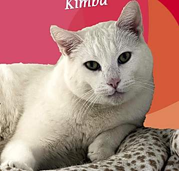 Photo of KIMBA