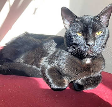 Photo of Wally