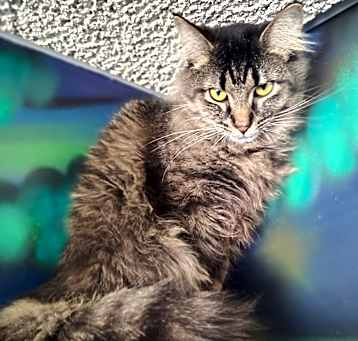 Photo of Tabitha