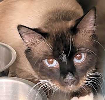 Photo of Jasper