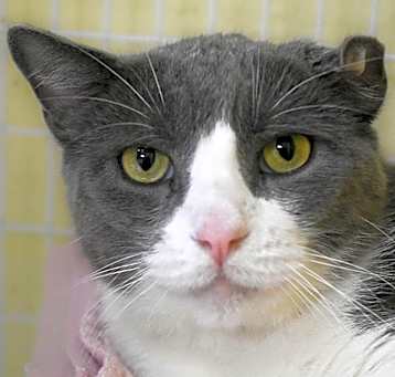 Photo of Moxie