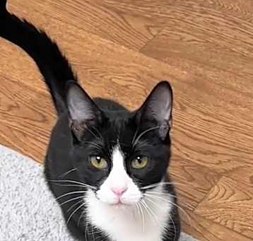 Photo of Jalapeno
