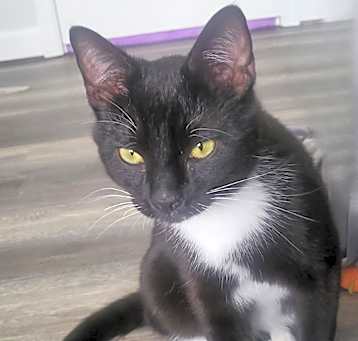 Photo of Thomas