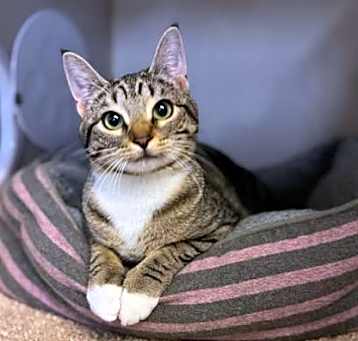 Photo of Birdie