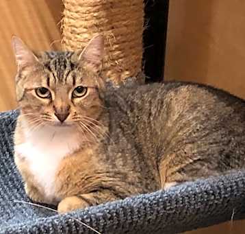 Photo of Pixie