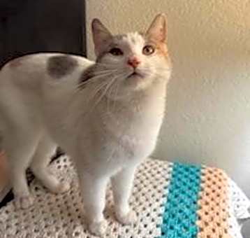 Photo of Penelope