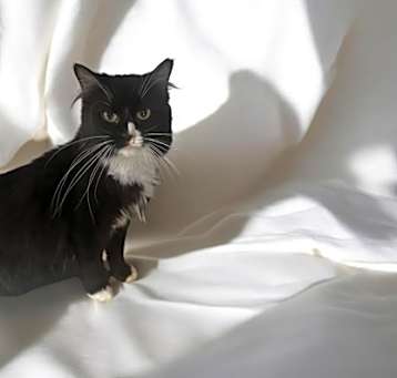 Photo of Marcie