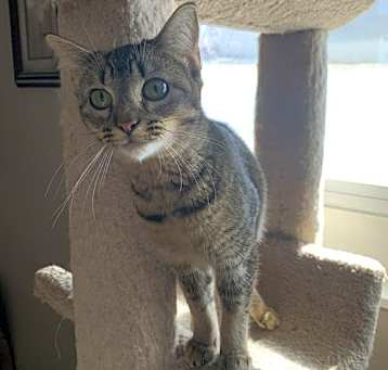 Photo of Annie