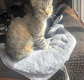 Photo of Penelope