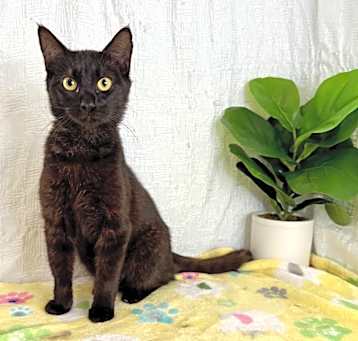 Photo of Klaus