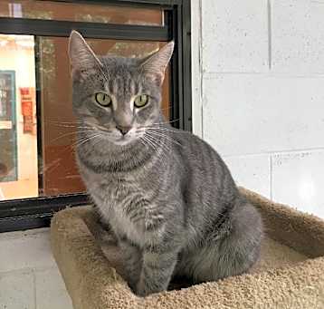Photo of Jelly Bean