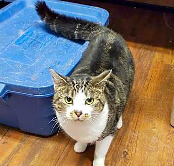 Photo of Gertie