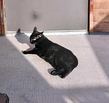 Photo of Latimer