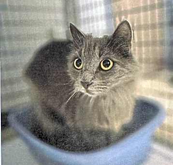 Photo of Luna
