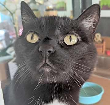 Photo of Windy
