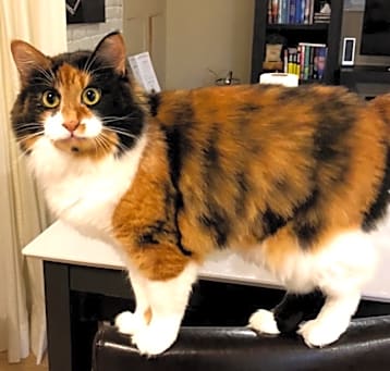 Photo of Kaylee