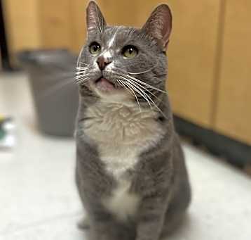 Photo of Rocky
