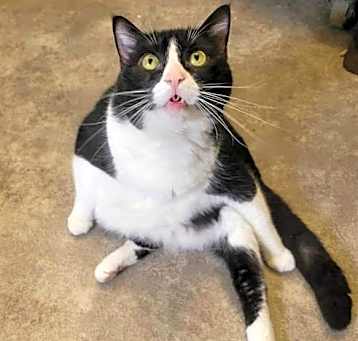 Photo of BUTTERBALL