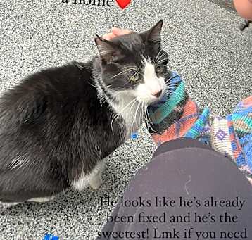 Photo of Klaus