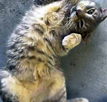 Photo of Murphy