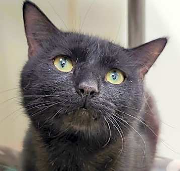 Photo of Asher