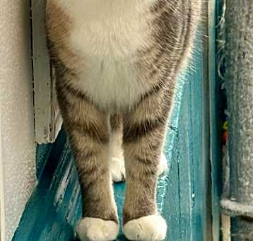 Photo of Evangeline