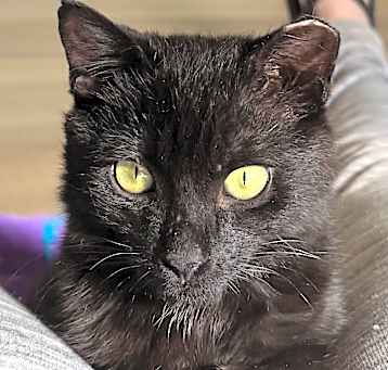 Photo of Monty
