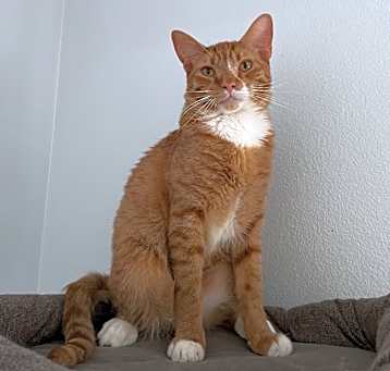 Photo of Fred