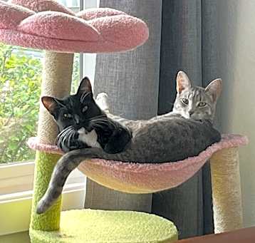 Photo of Hope and Boots