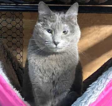 Photo of Ruby