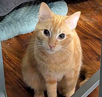 Photo of Dory