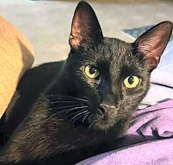 Photo of Gabriel