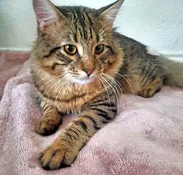Photo of Theo