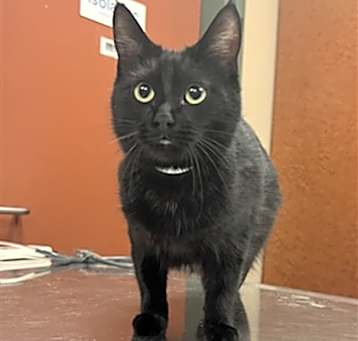 Photo of KIKI