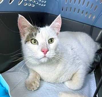 Photo of Hudson