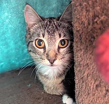 Photo of Sugar