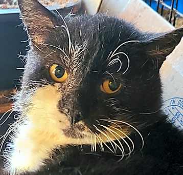 Photo of Thomas