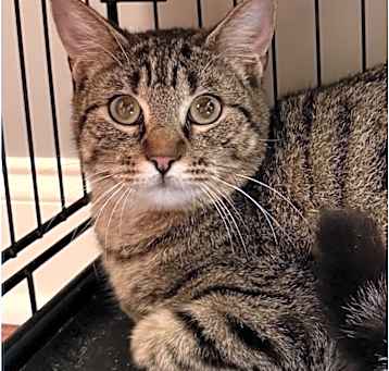 Photo of Tabitha