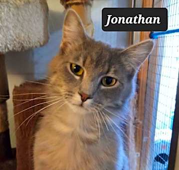 Photo of Jonathan