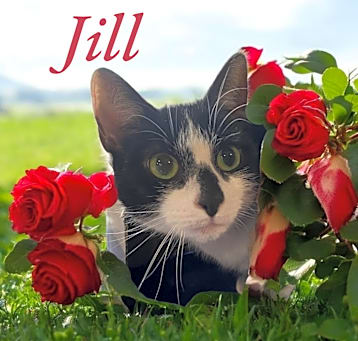 Photo of Jill