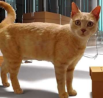 Photo of Butter